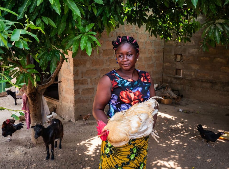 Veeteelt en vrouwenemancipatie in Benin/ Élevage et autonomisation des femmes au Bénin